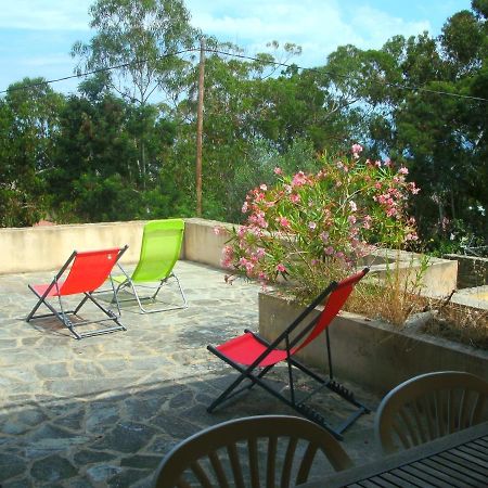 Location St Flo Apartment Saint-Florent  Exterior foto